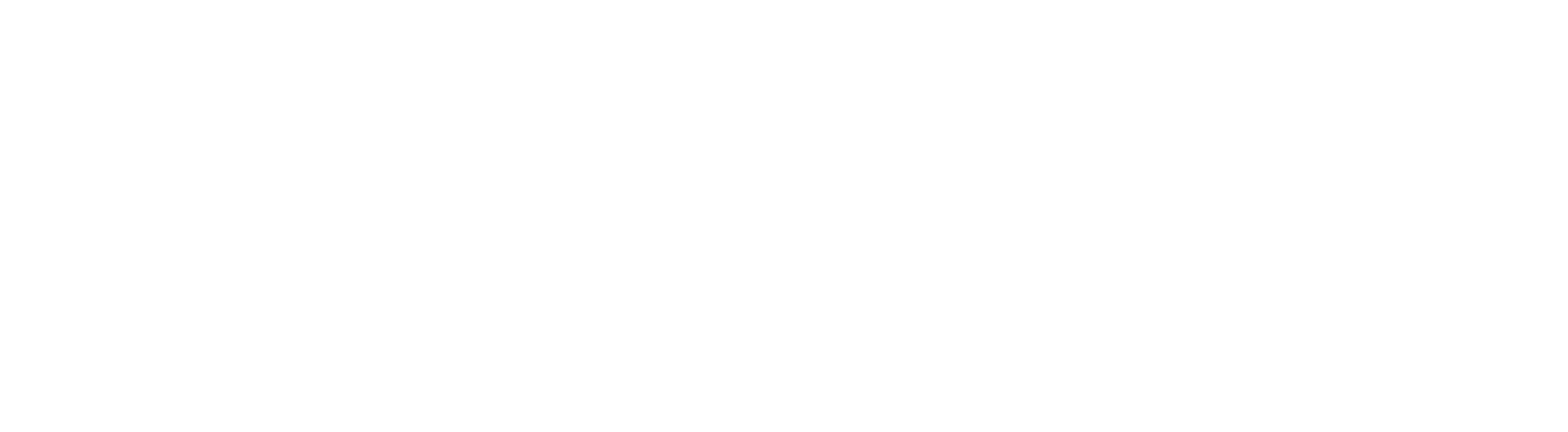 Digital Americus